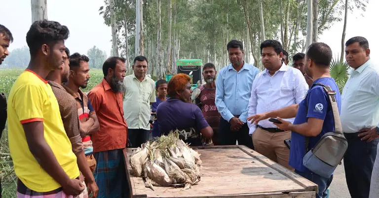 সিংড়ায় তিন পাখি শিকারিকে কারাদণ্ড দিয়েছেন ভ্রাম্যমাণ আদালত